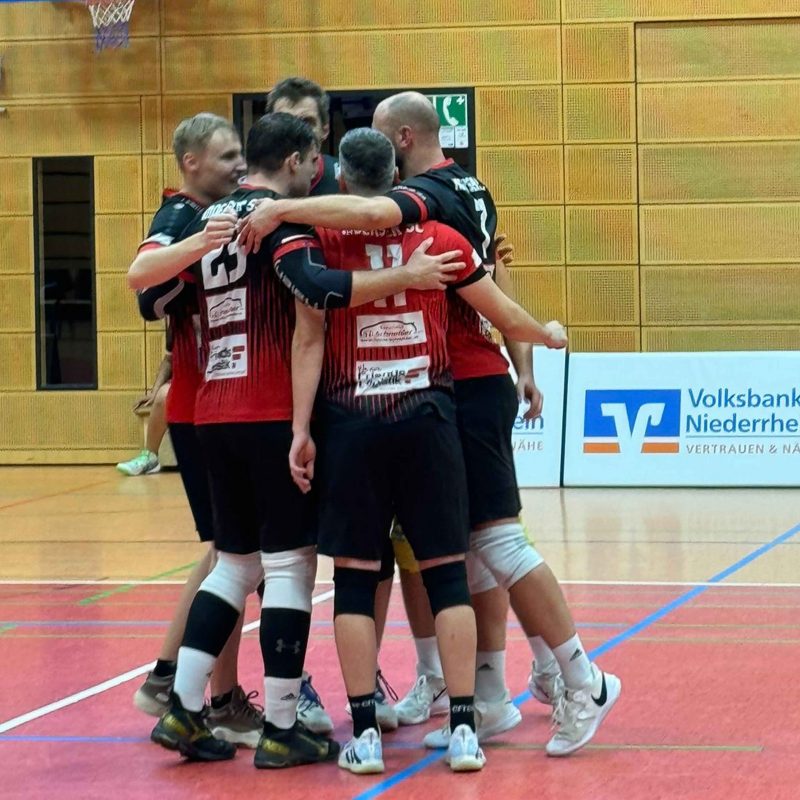 MSC_BerichtWebsiteMondorf
